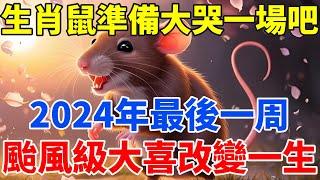 生肖鼠準備大哭一場吧！2024年最後一周，颱風級大喜或將改變你的一生！【佛語禪音】#生肖 #命理 #運勢 #屬相 #風水