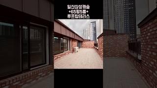 일산 삼성캐슬 마지막 65평 복층 테라스 010-6839-1414