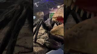 Hungry T rex eats literally anything!! #dinomania #scary #halloween #dinosaur