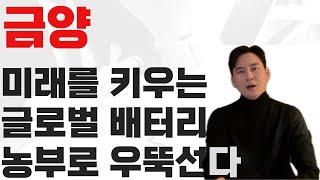 금양 美 나노테크 에너지와 차세대 배터리 공동 개발해 생산하고 미국 합작법인 설립 추진 와중에"유통판권 계약인데도 주가10% 넘게 뛰었다며" 상폐 내용 포함 보도 하는 국내 언론사