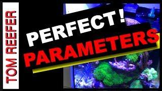 Nano Reef Tank - PARAMETERS -  HOW TO KEEP PERFECT PARAMETERS !