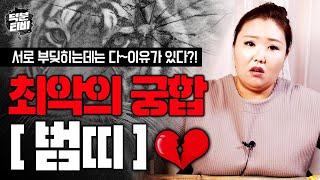 범띠와 맞지 않는 최악의 띠 궁합은? 2023년 띠별로 알아보는 최악의 궁합  범띠와 XX띠는 안만나면 보고싶고 만나면 싸우는 애증의 관계다?!