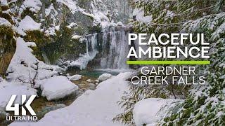 Snowy Waterfall 4K - 8 Hours Water Stream Sounds & Forest Bird Chirping for Stress Relief