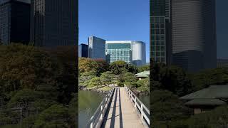 #tokyo Hamarikyu Gardens парк с прудом и садами периода Эдо на месте резиденции сёгуна XVII века