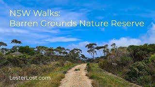 NSW Walks: Griffiths Trail in the Barren Grounds Nature Reserve