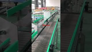 Plastic top chain conveyor | packing coveyor line | factory plant conveying system SEW motors |