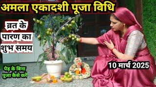 अमला एकादशी पूजा विधि || Amla ekadash puja Vidhi