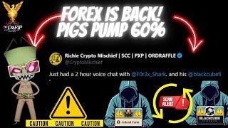 Drip Network Animal Farm Forex Shark is back ready to launch Black Cube FInance