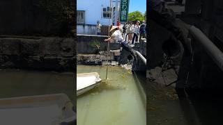Yanagawa Boat Tour - Fukuoka, Japan