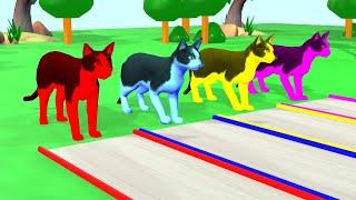 3d Animal Game - Funny 3d Animals