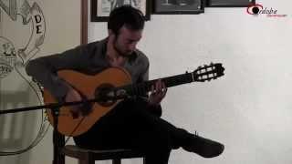 David Monge. Guitarra flamenca