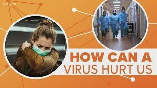 COVID-19 & Immune system response | Connect the Dots