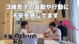 3歳息子の言動や行動に悩む最近.手抜きばかりの日々