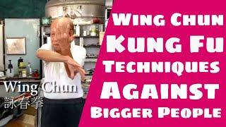 Technique vs Bigger People - Ip Man Wing Chun - Lo Man Kam 葉問 詠春拳 盧文錦