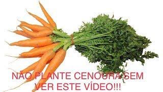 COMO PLANTAR CENOURA A PARTIR DAS SEMENTES / HOW TO PLANT CARROTS FROM THE SEEDS