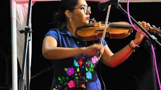 Don CHUCHO del Trio armonía Huasteca trovando en HUEJUTLA junto a trío gallitos Huastecos. ️