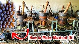 How to Make Mustard Oil In Factory - Amazing Factory Process