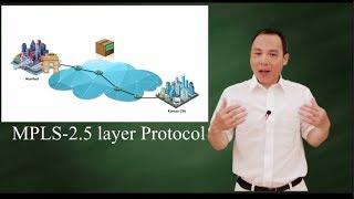 MPLS  - Multiprotocol Label Switching (2.5 layer protocol)