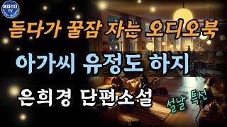 설날 특선│중간광고없는 오디오북│어머니가 뉴욕에 가고 싶어했던 뜻밖의 이유 Sleep Audiobook