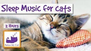 2 HOURS of Sleep Music for Cats. Try it Today and be Surprised!