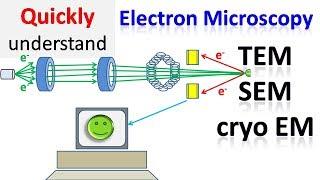 Electron microscope | TEM | SEM | Cryo EM