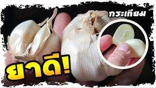 กระเทียม เกิดสิ่งนี้ ถ้ากินประจำ | Nava DIY