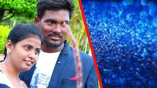 anitha suresh pre wedding song