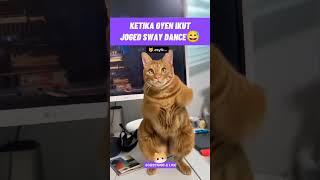 si oyen ikut²an joged sway dance #aiswaydance #kucinglucu #kucingmeongmeong #funnycats #cutecat