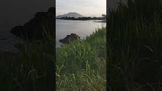 숭어낚시