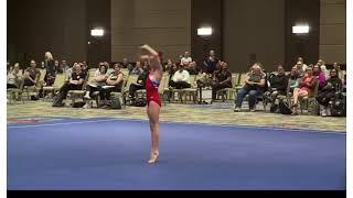 Level 3 Floor Routine 2021-2029