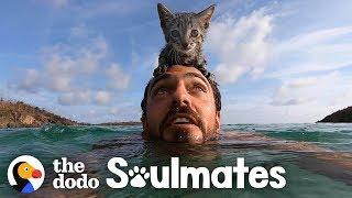 5-Week-Old Kitten Loves Swimming With Her Dad | The Dodo Soulmates