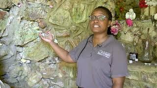 The Grotto at Saint Leo University Tour Video