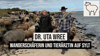 29.09.2024 Braderuper Heide Wanderschäferin & Tierärztin Uta Wree auf #Sylt #Blauzungenkrankheit #BT