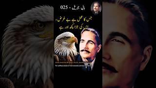 Jis Ka Amal Hai Be-Gharz , Uss Ki Jaza Kuch Aur Hai | Bal-e-Jibril 025 #allamaiqbal #iqbaliyat