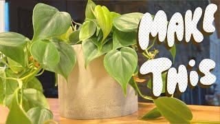 How to Make a Concrete Planter Pot at Home