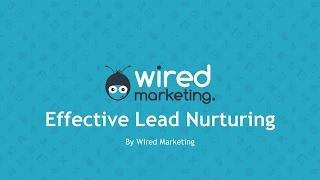 A Guide To Effective Lead Nurturing | Wired Marketing