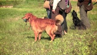 Trainingsferien in Jasd/Ungarn bei Oliver Kiraly