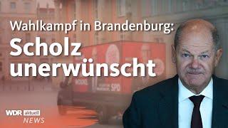 Vor Wahlen in Brandenburg: Kopf-an-Kopf-Rennen zwischen SPD und AfD | Aktuelle Stunde