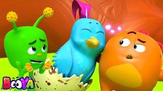 Bird Watch Funny Cartoon and Animated Show for Babies