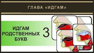 Айман Сувейд. 7. Идгам родственных 3 (русские субтитры)