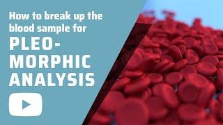 How to break up the blood sample for Pleomorphic analysis