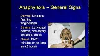 Anaphylaxis in the Veterinary Patient