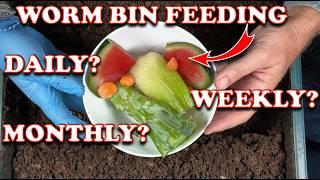 How Much & How Often Should You Feed Worm Bins? | Vermicompost Worm Farm