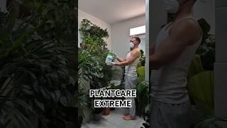 Plantcare Extreme!!! 🪴#plants #plantlover #boy #plantcare #plantcaretips