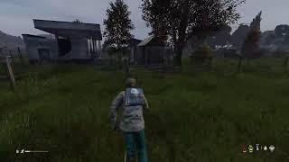 DayZ