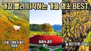 11월 강원특별자치도 여행 추천 가을 여행 BEST #국내여행 #강원도여행