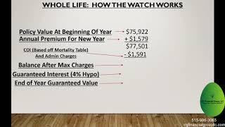 Whole Life Dividends Explained