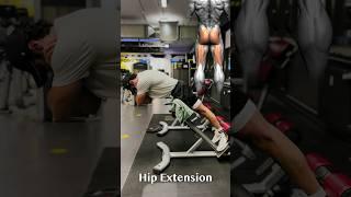 Back Extension vs. Hip Extension!  #fitness #bodybuilding #gym #motivation #gymmotivation #gymbro