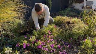 Garden Prep For Spring & Getting Christmas Lights Up‍ || Visit Our Garden