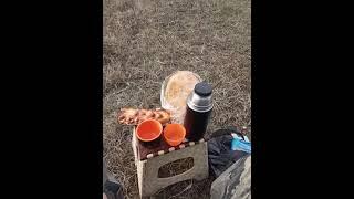 охота с подхода мр155